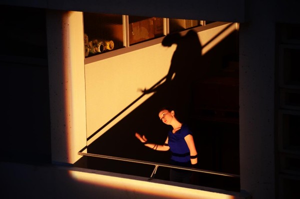 Preview image for Palimpseste